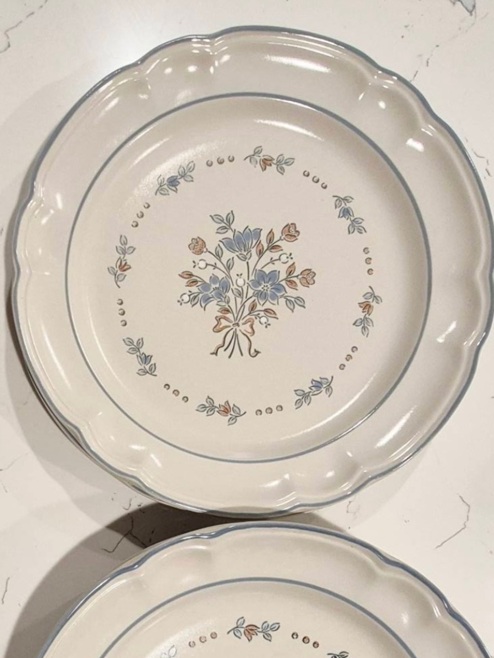 Cottage Core Cordella Bluet Dinner Plates